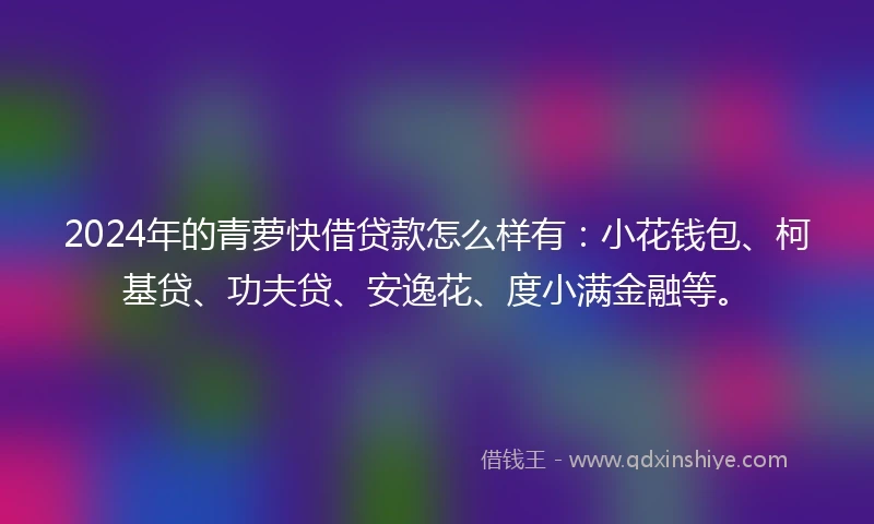 2024年的青萝快借贷款怎么样有：小花钱包、柯基贷、功夫贷、安逸花、度小满金融等。