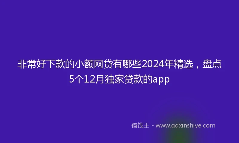 非常好下款的小额网贷有哪些2024年精选，盘点5个12月独家贷款的app