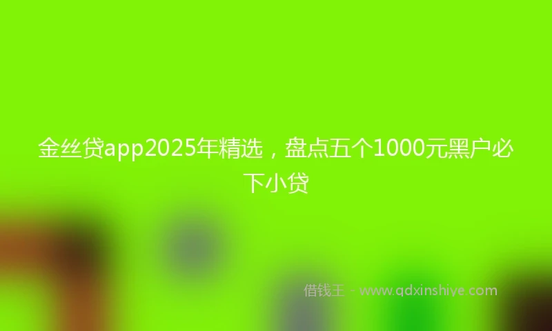 金丝贷app2025年精选，盘点五个1000元黑户必下小贷