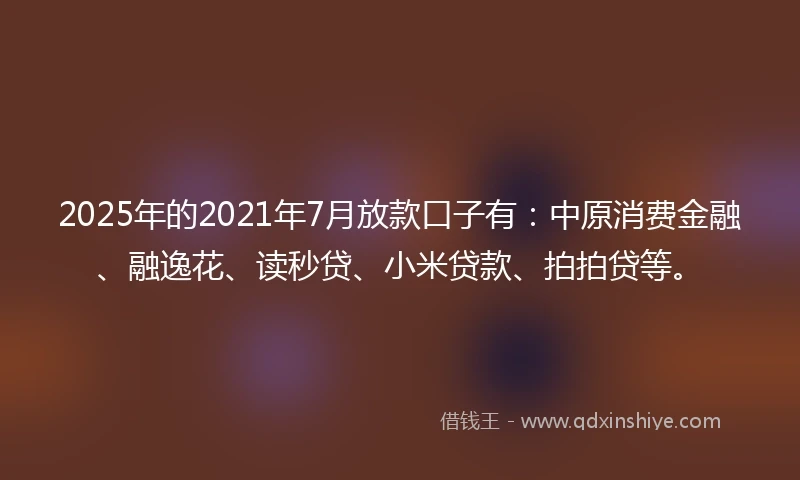 2025年的2021年7月放款口子有：中原消费金融、融逸花、读秒贷、小米贷款、拍拍贷等。