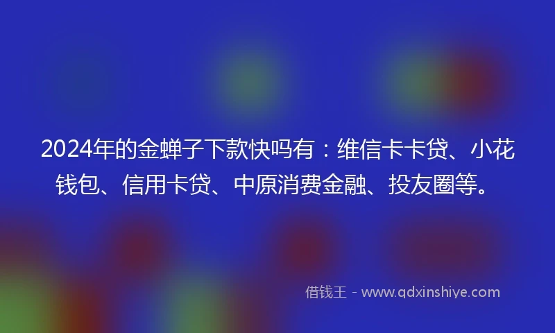 2024年的金蝉子下款快吗有：维信卡卡贷、小花钱包、信用卡贷、中原消费金融、投友圈等。