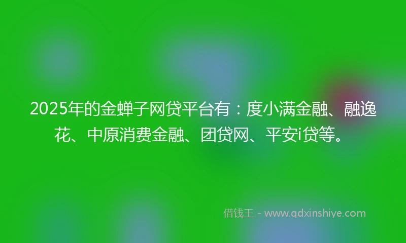 2025年的金蝉子网贷平台有：度小满金融、融逸花、中原消费金融、团贷网、平安i贷等。
