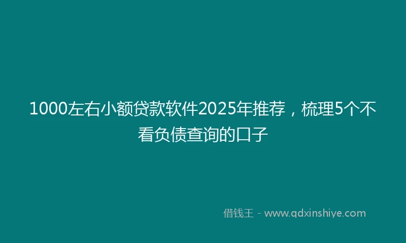 1000左右小额贷款软件2025年推荐，梳理5个不看负债查询的口子