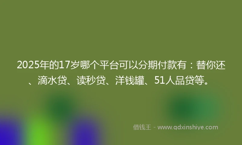 2025年的17岁哪个平台可以分期付款有：替你还、滴水贷、读秒贷、洋钱罐、51人品贷等。