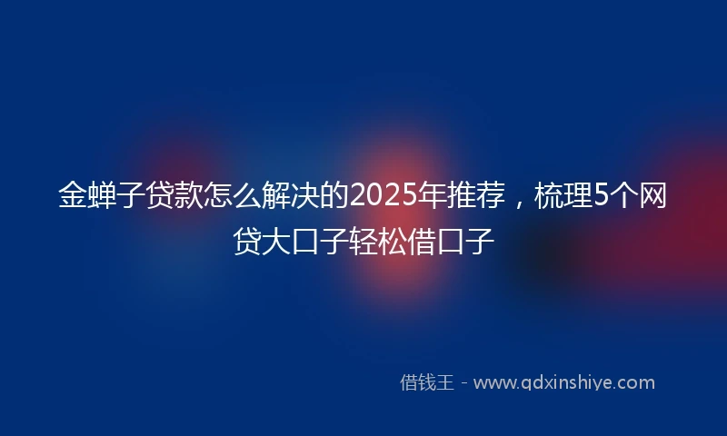 金蝉子贷款怎么解决的2025年推荐，梳理5个网贷大口子轻松借口子
