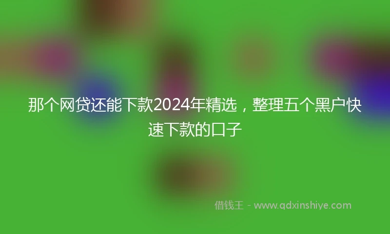 那个网贷还能下款2024年精选，整理五个黑户快速下款的口子