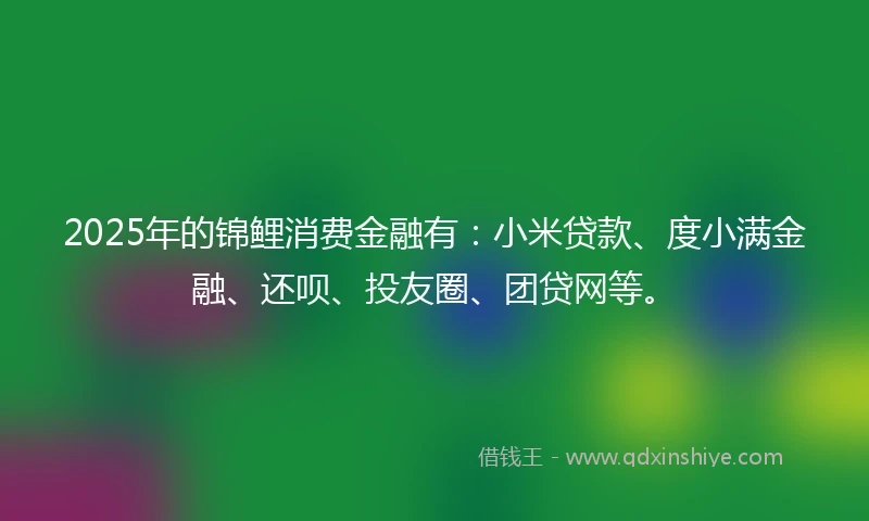 2025年的锦鲤消费金融有：小米贷款、度小满金融、还呗、投友圈、团贷网等。