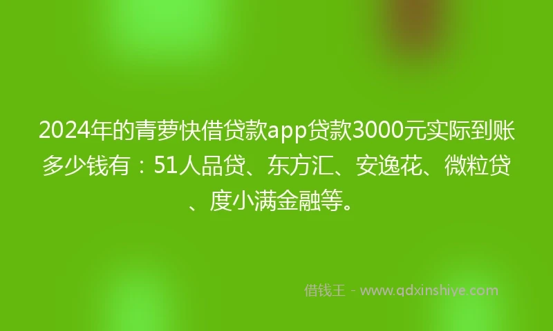 2024年的青萝快借贷款app贷款3000元实际到账多少钱有：51人品贷、东方汇、安逸花、微粒贷、度小满金融等。
