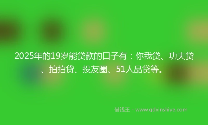 2025年的19岁能贷款的口子有：你我贷、功夫贷、拍拍贷、投友圈、51人品贷等。