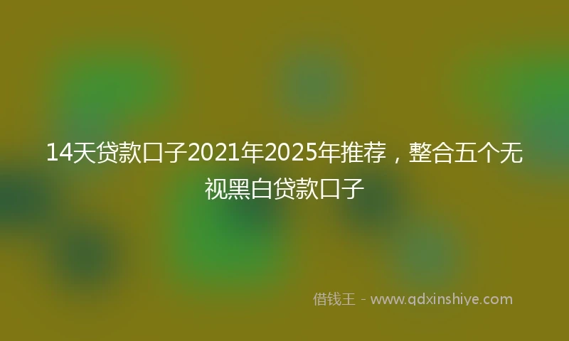 14天贷款口子2021年2025年推荐，整合五个无视黑白贷款口子
