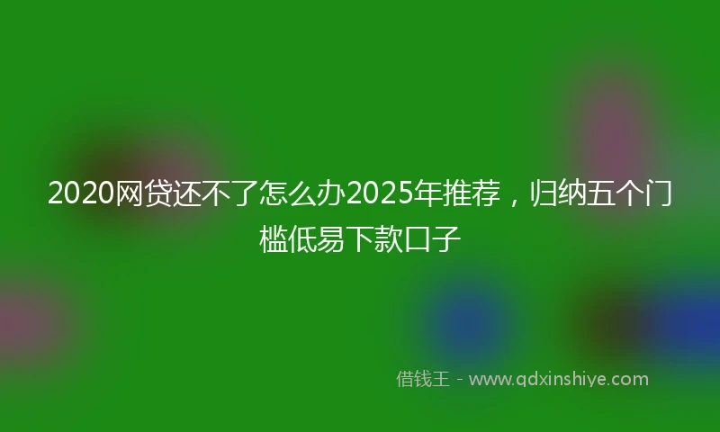 2020网贷还不了怎么办2025年推荐，归纳五个门槛低易下款口子