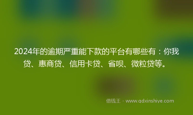 2024年的逾期严重能下款的平台有哪些有：你我贷、惠商贷、信用卡贷、省呗、微粒贷等。