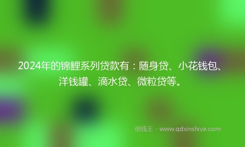 2024年的锦鲤系列贷款有：随身贷、小花钱包、洋钱罐、滴水贷、微粒贷等。