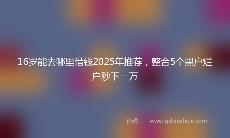 16岁能去哪里借钱2025年推荐，整合5个黑户烂户秒下一万