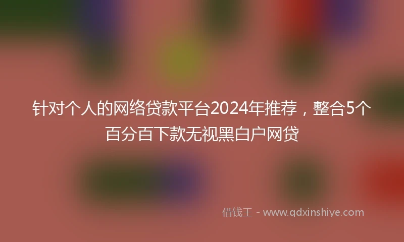 针对个人的网络贷款平台2024年推荐，整合5个百分百下款无视黑白户网贷