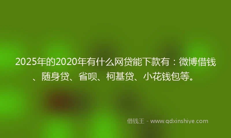 2025年的2020年有什么网贷能下款有：微博借钱、随身贷、省呗、柯基贷、小花钱包等。