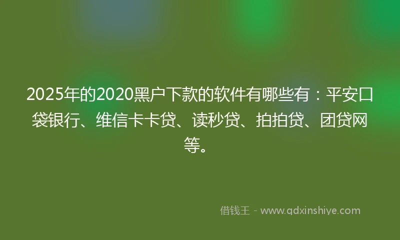 2025年的2020黑户下款的软件有哪些有：平安口袋银行、维信卡卡贷、读秒贷、拍拍贷、团贷网等。