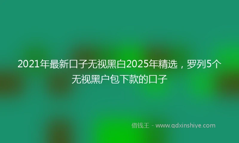 2021年最新口子无视黑白2025年精选，罗列5个无视黑户包下款的口子