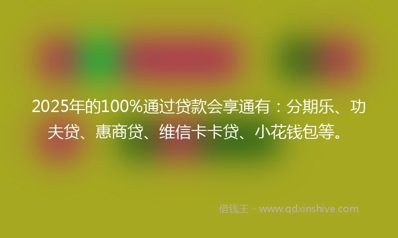 2025年的100%通过贷款会享通有：分期乐、功夫贷、惠商贷、维信卡卡贷、小花钱包等。