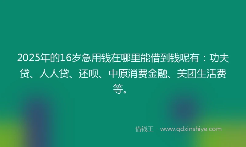 2025年的16岁急用钱在哪里能借到钱呢有：功夫贷、人人贷、还呗、中原消费金融、美团生活费等。