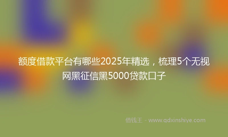 额度借款平台有哪些2025年精选，梳理5个无视网黑征信黑5000贷款口子