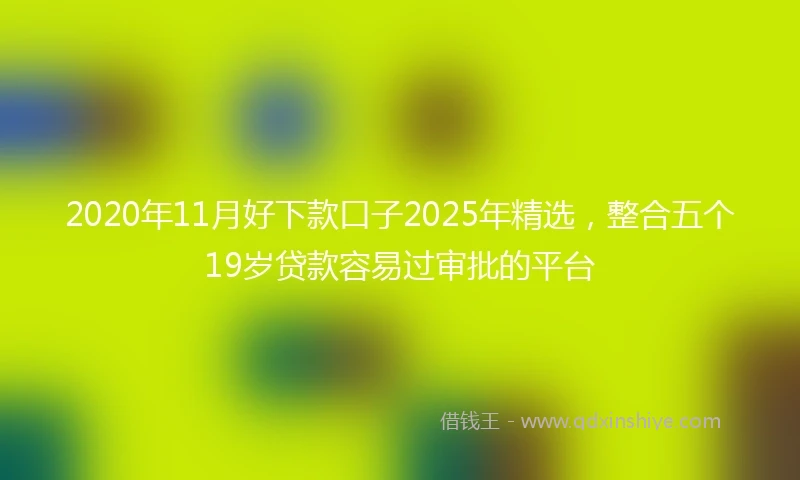 2020年11月好下款口子2025年精选，整合五个19岁贷款容易过审批的平台