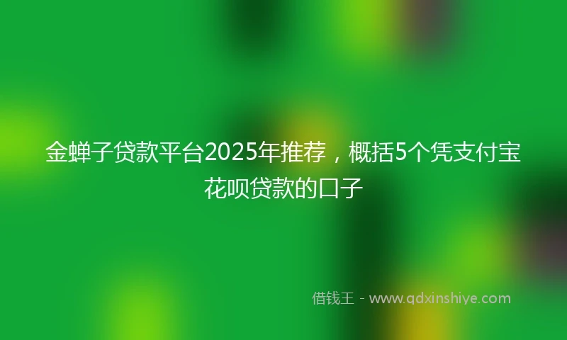 金蝉子贷款平台2025年推荐，概括5个凭支付宝花呗贷款的口子
