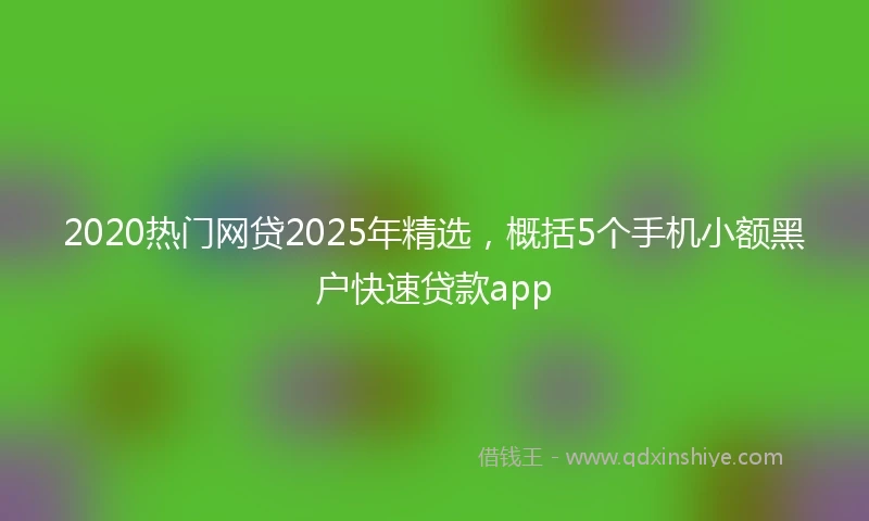 2020热门网贷2025年精选，概括5个手机小额黑户快速贷款app