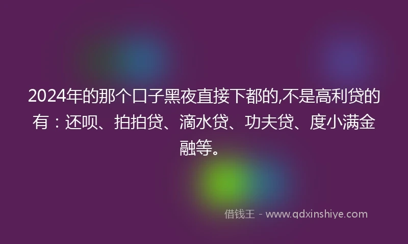 2024年的那个口子黑夜直接下都的,不是高利贷的有：还呗、拍拍贷、滴水贷、功夫贷、度小满金融等。