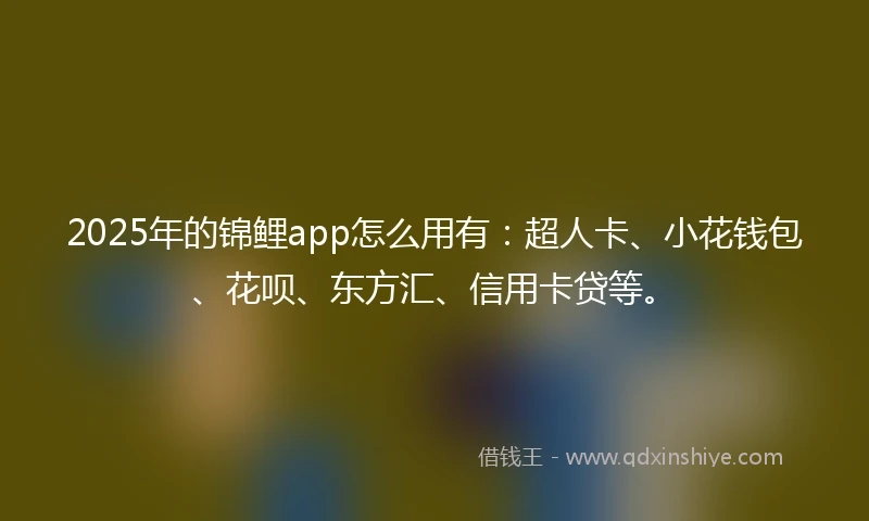 2025年的锦鲤app怎么用有：超人卡、小花钱包、花呗、东方汇、信用卡贷等。