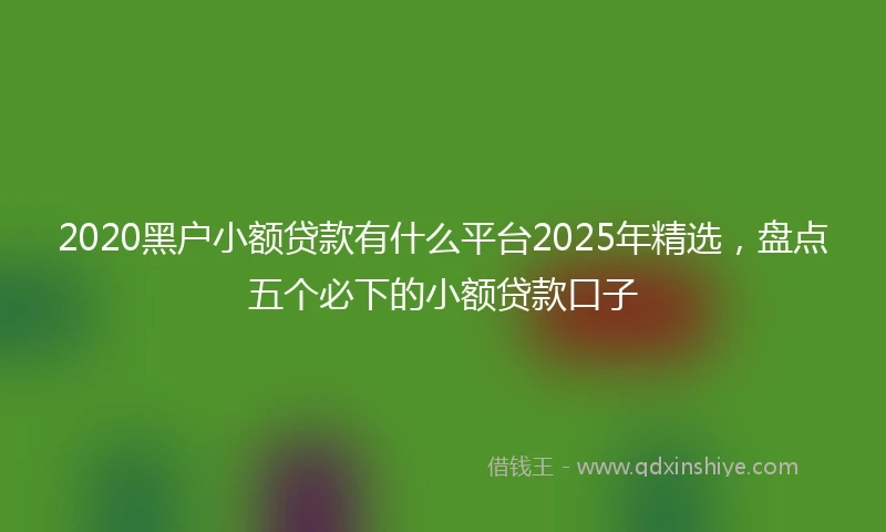 2020黑户小额贷款有什么平台2025年精选，盘点五个必下的小额贷款口子