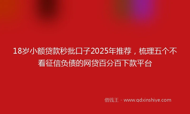 18岁小额贷款秒批口子2025年推荐，梳理五个不看征信负债的网贷百分百下款平台