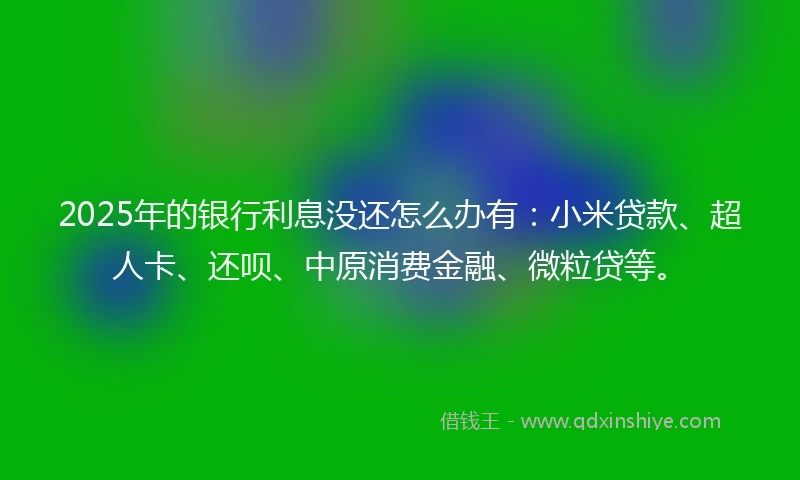 2025年的银行利息没还怎么办有：小米贷款、超人卡、还呗、中原消费金融、微粒贷等。