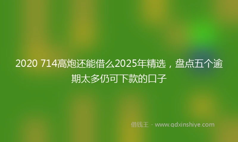 2020 714高炮还能借么2025年精选，盘点五个逾期太多仍可下款的口子