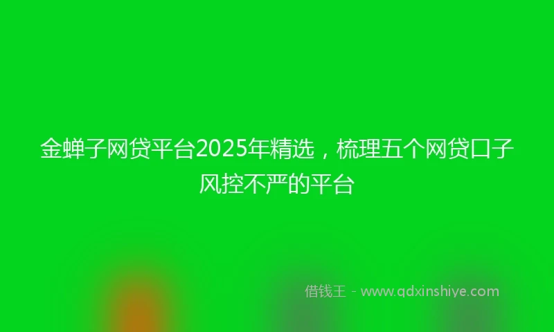 金蝉子网贷平台2025年精选，梳理五个网贷口子风控不严的平台