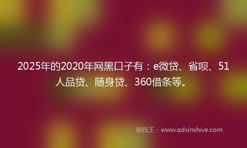 2025年的2020年网黑口子有：e微贷、省呗、51人品贷、随身贷、360借条等。