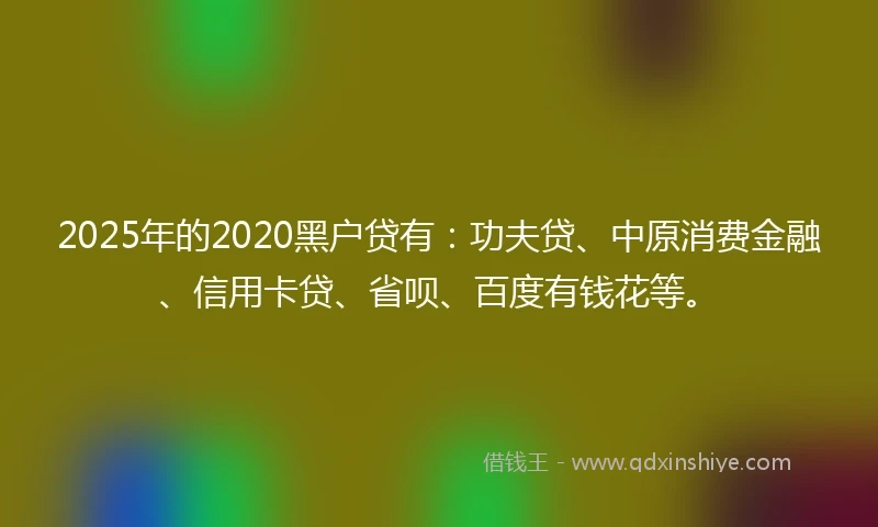 2025年的2020黑户贷有：功夫贷、中原消费金融、信用卡贷、省呗、百度有钱花等。