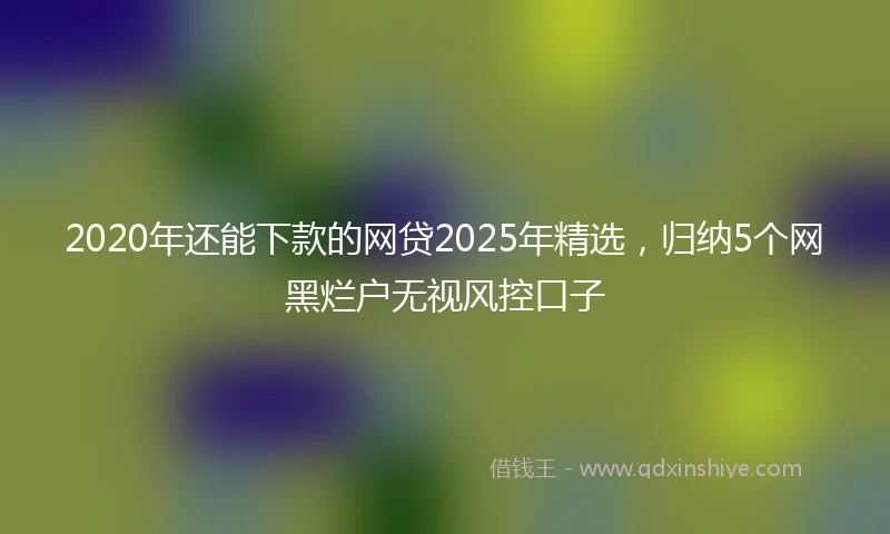 2020年还能下款的网贷2025年精选，归纳5个网黑烂户无视风控口子