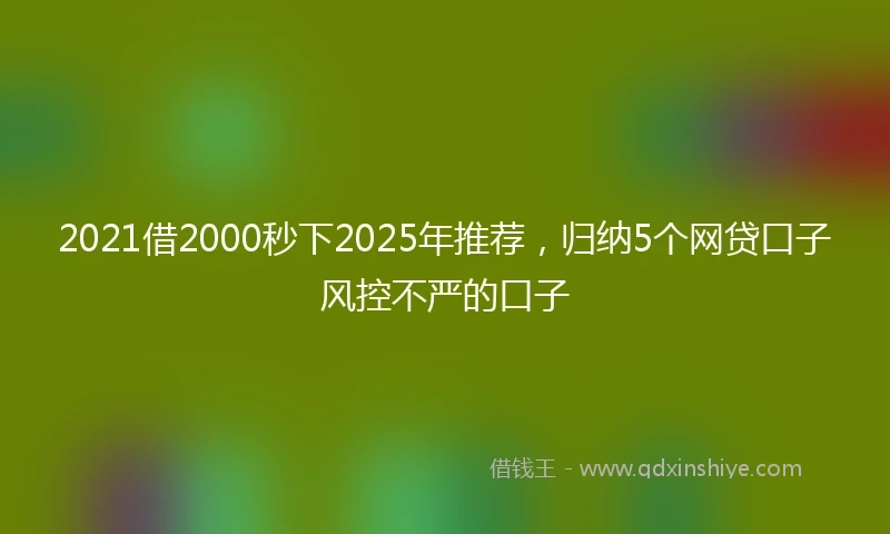 2021借2000秒下2025年推荐，归纳5个网贷口子风控不严的口子