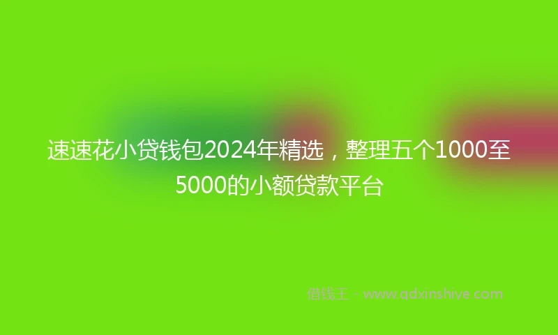 速速花小贷钱包2024年精选，整理五个1000至5000的小额贷款平台