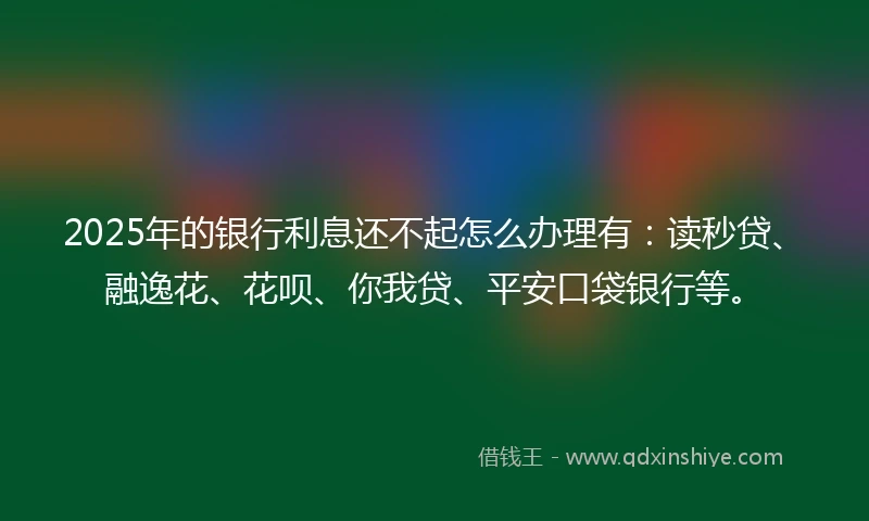 2025年的银行利息还不起怎么办理有：读秒贷、融逸花、花呗、你我贷、平安口袋银行等。
