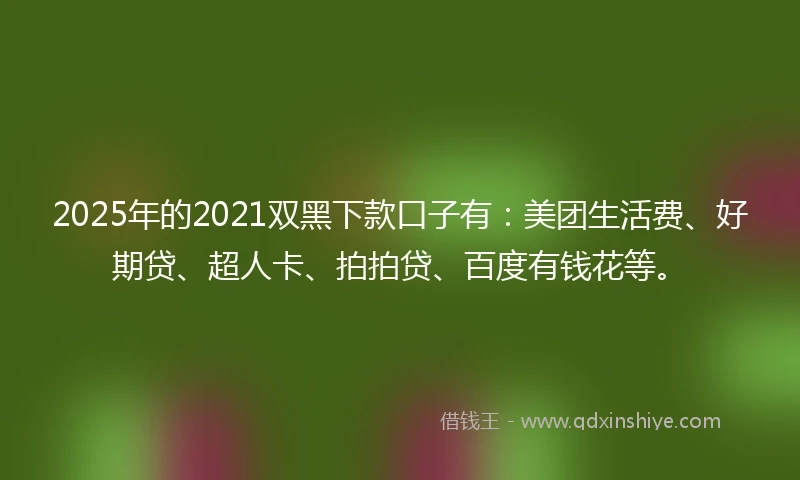 2025年的2021双黑下款口子有：美团生活费、好期贷、超人卡、拍拍贷、百度有钱花等。