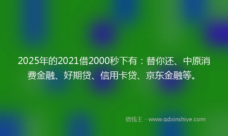 2025年的2021借2000秒下有：替你还、中原消费金融、好期贷、信用卡贷、京东金融等。