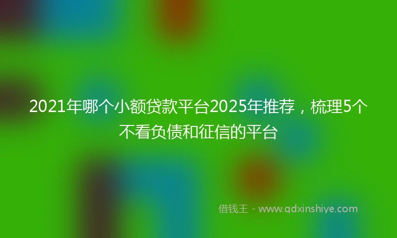 2021年哪个小额贷款平台2025年推荐，梳理5个不看负债和征信的平台
