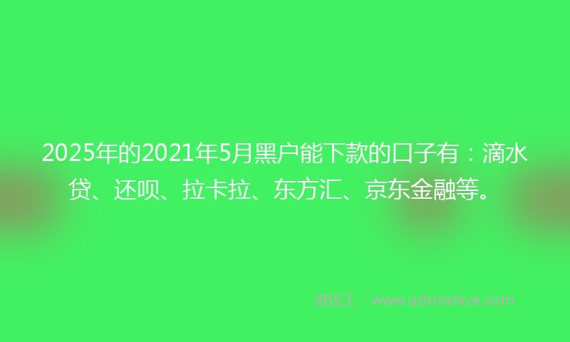 2025年的2021年5月黑户能下款的口子有：滴水贷、还呗、拉卡拉、东方汇、京东金融等。