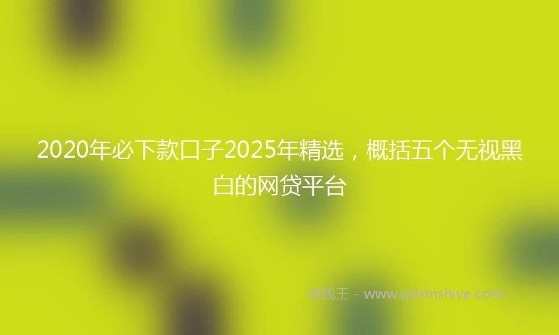 2020年必下款口子2025年精选，概括五个无视黑白的网贷平台
