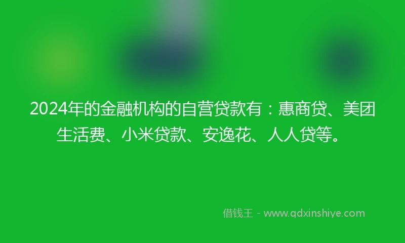 2024年的金融机构的自营贷款有：惠商贷、美团生活费、小米贷款、安逸花、人人贷等。