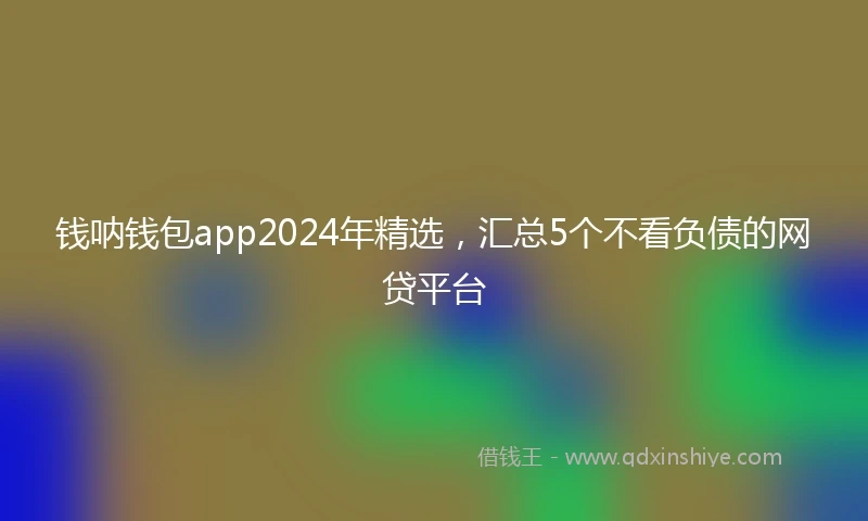 钱呐钱包app2024年精选，汇总5个不看负债的网贷平台