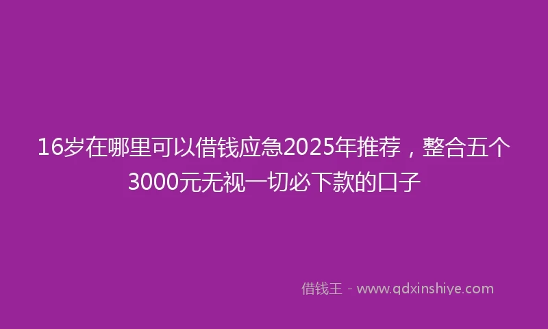 16岁在哪里可以借钱应急2025年推荐，整合五个3000元无视一切必下款的口子