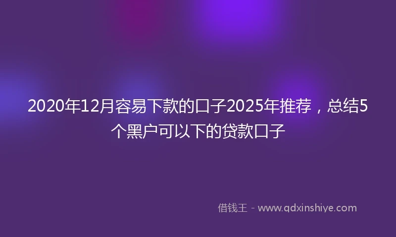 2020年12月容易下款的口子2025年推荐，总结5个黑户可以下的贷款口子